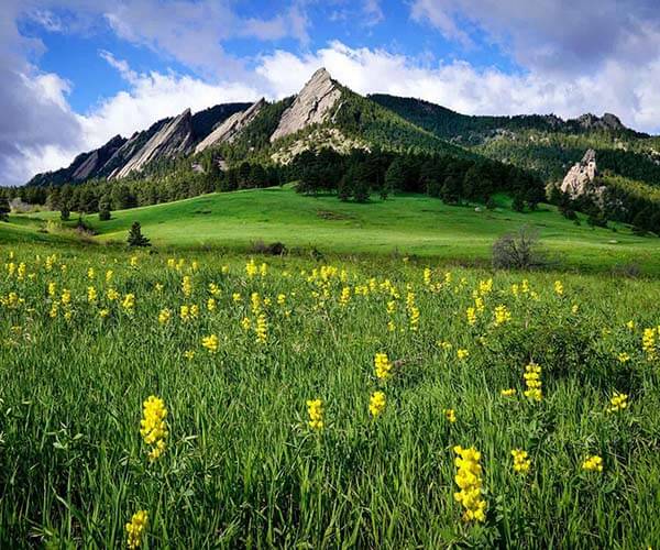 Summer In Salida